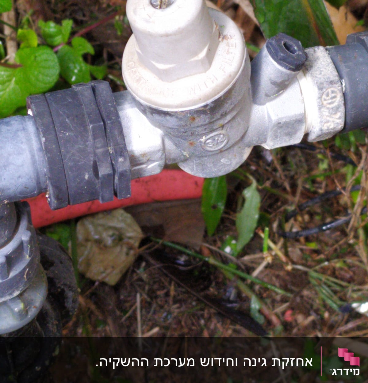 שסתום מים בגינה עם צינור מחובר